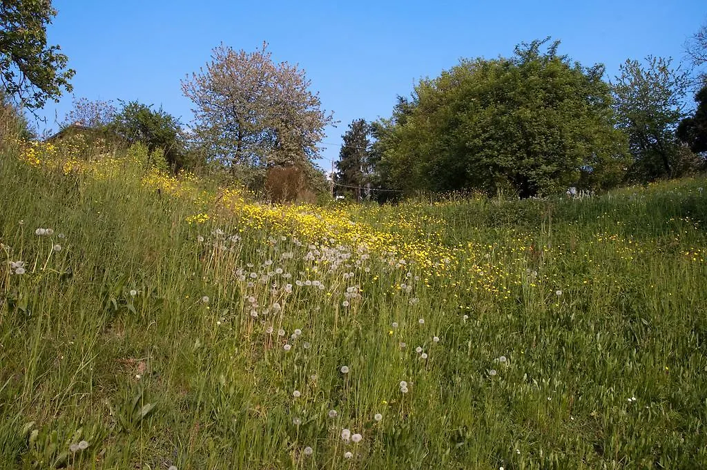Angelo Del Lotto Bed & Breakfast Ponteranica