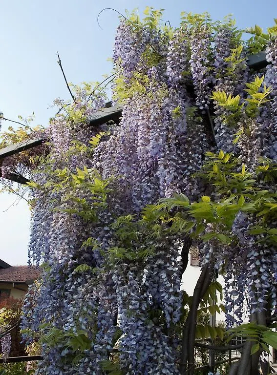 Angelo Del Lotto Bed & Breakfast Ponteranica